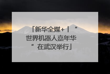新华全媒+丨“世界机器人嘉年华”在武汉举行