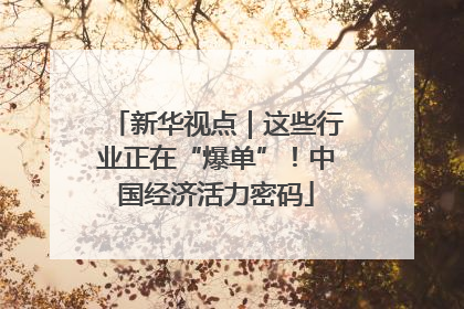 新华视点｜这些行业正在“爆单”！中国经济活力密码