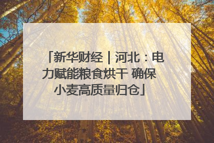 新华财经｜河北：电力赋能粮食烘干 确保小麦高质量归仓