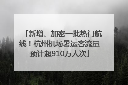新增、加密一批热门航线！杭州机场暑运客流量预计超910万人次