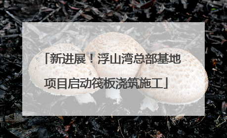 新进展！浮山湾总部基地项目启动筏板浇筑施工