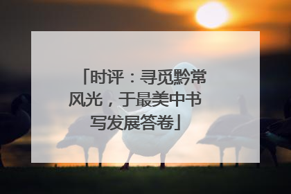 时评：寻觅黔常风光，于最美中书写发展答卷