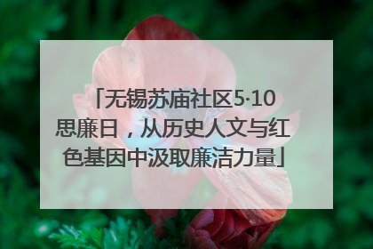 无锡苏庙社区5·10思廉日，从历史人文与红色基因中汲取廉洁力量