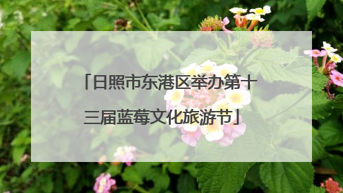 日照市东港区举办第十三届蓝莓文化旅游节