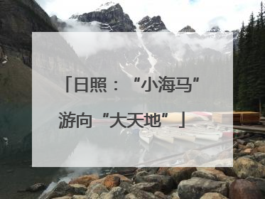日照：“小海马”游向“大天地”