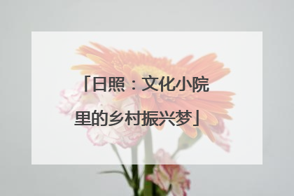 日照：文化小院里的乡村振兴梦