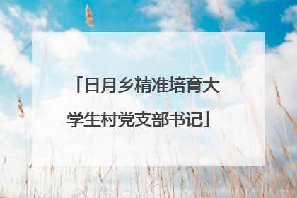日月乡精准培育大学生村党支部书记