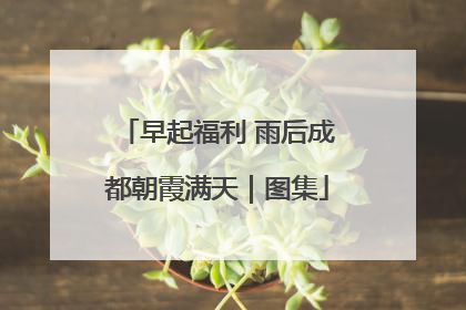 早起福利 雨后成都朝霞满天｜图集