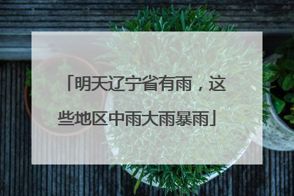 明天辽宁省有雨，这些地区中雨大雨暴雨