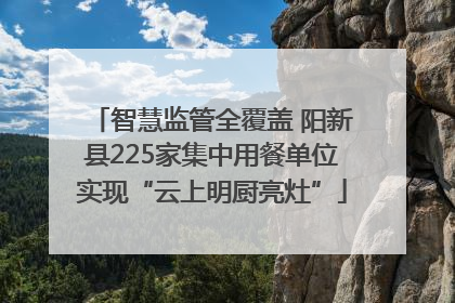 智慧监管全覆盖 阳新县225家集中用餐单位实现“云上明厨亮灶”