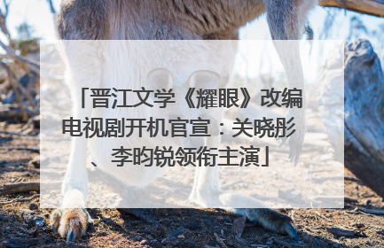 晋江文学《耀眼》改编电视剧开机官宣：关晓彤、李昀锐领衔主演