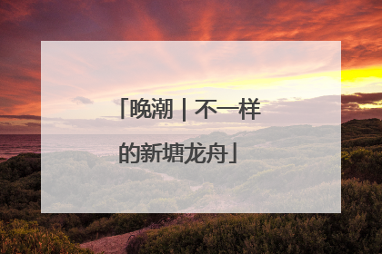 晚潮｜不一样的新塘龙舟