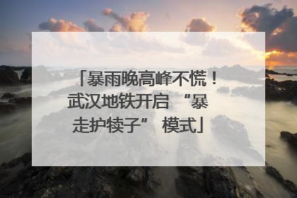 暴雨晚高峰不慌！武汉地铁开启 “暴走护犊子” 模式