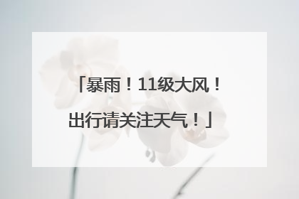 暴雨！11级大风！出行请关注天气！