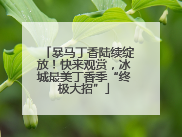 暴马丁香陆续绽放！快来观赏，冰城最美丁香季“终极大招”