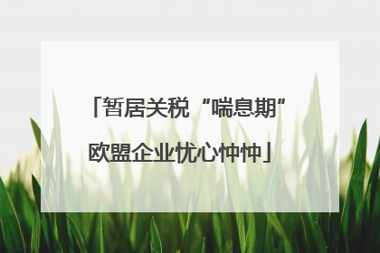 暂居关税“喘息期” 欧盟企业忧心忡忡