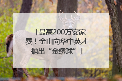 最高200万安家费！金山向华中英才抛出“金绣球”