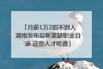 月薪1万2招不到人 湖南发布最新紧缺职业目录 这些人才吃香