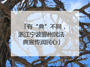 有“典”不同，浙江宁波鄞州民法典宣传润民心
