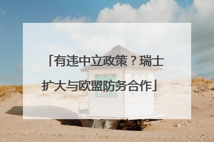 有违中立政策？瑞士扩大与欧盟防务合作