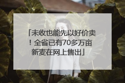 未收也能先以好价卖！全省已有70多万亩新麦在网上售出