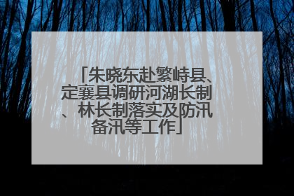 朱晓东赴繁峙县、定襄县调研河湖长制、林长制落实及防汛备汛等工作