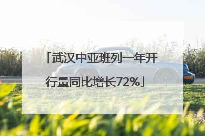 武汉中亚班列一年开行量同比增长72%