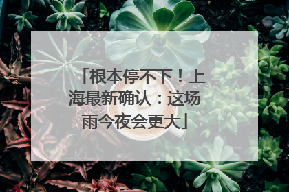 根本停不下！上海最新确认：这场雨今夜会更大