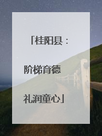 桂阳县：阶梯育德 礼润童心