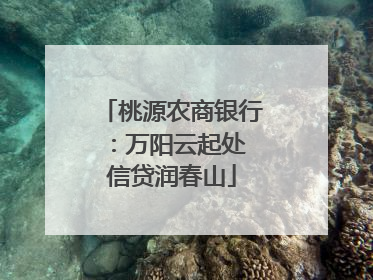 桃源农商银行：万阳云起处 信贷润春山