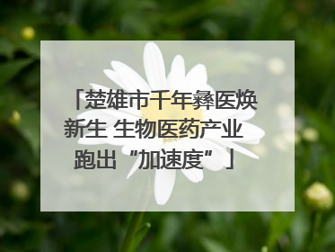 楚雄市千年彝医焕新生 生物医药产业跑出“加速度”