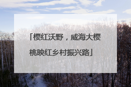樱红沃野，威海大樱桃映红乡村振兴路