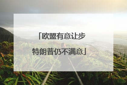 欧盟有意让步 特朗普仍不满意