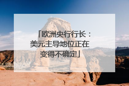 欧洲央行行长：美元主导地位正在变得不确定