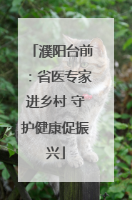 濮阳台前：省医专家进乡村 守护健康促振兴