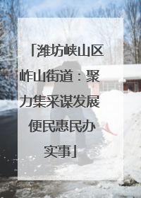 潍坊峡山区岞山街道：聚力集采谋发展 便民惠民办实事