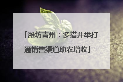 潍坊青州：多措并举打通销售渠道助农增收