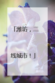 潍坊，二线城市！