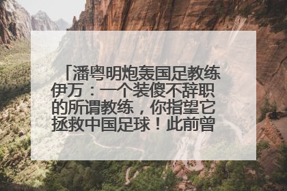 潘粤明炮轰国足教练伊万：一个装傻不辞职的所谓教练，你指望它拯救中国足球！此前曾多次发文评价国足