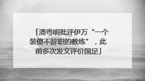 潘粤明批评伊万“一个装傻不辞职的教练”，此前多次发文评价国足