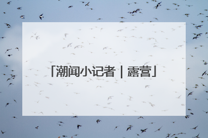 潮闻小记者｜露营
