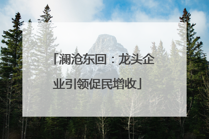 澜沧东回：龙头企业引领促民增收