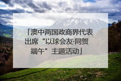 澳中两国政商界代表出席“以球会友·同贺端午”主题活动