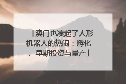 澳门也凑起了人形机器人的热闹：孵化、早期投资与量产