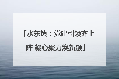 水东镇：党建引领齐上阵 凝心聚力焕新颜
