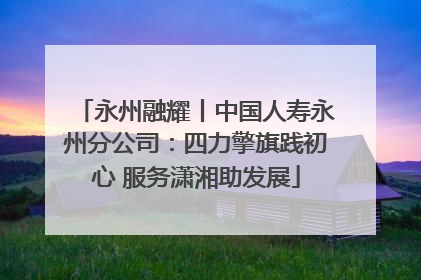 永州融耀丨中国人寿永州分公司：四力擎旗践初心 服务潇湘助发展