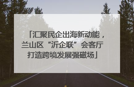 汇聚民企出海新动能，兰山区“沂企联”会客厅打造跨境发展强磁场