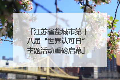 江苏省盐城市第十八届“世界认可日”主题活动重磅启幕