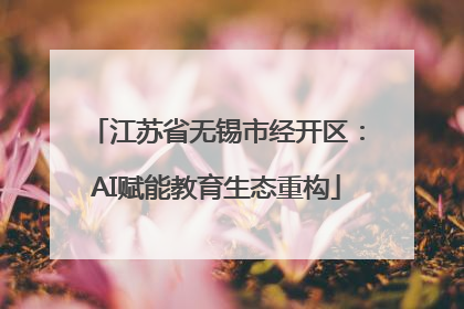 江苏省无锡市经开区：AI赋能教育生态重构