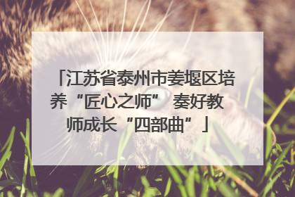 江苏省泰州市姜堰区培养“匠心之师” 奏好教师成长“四部曲”